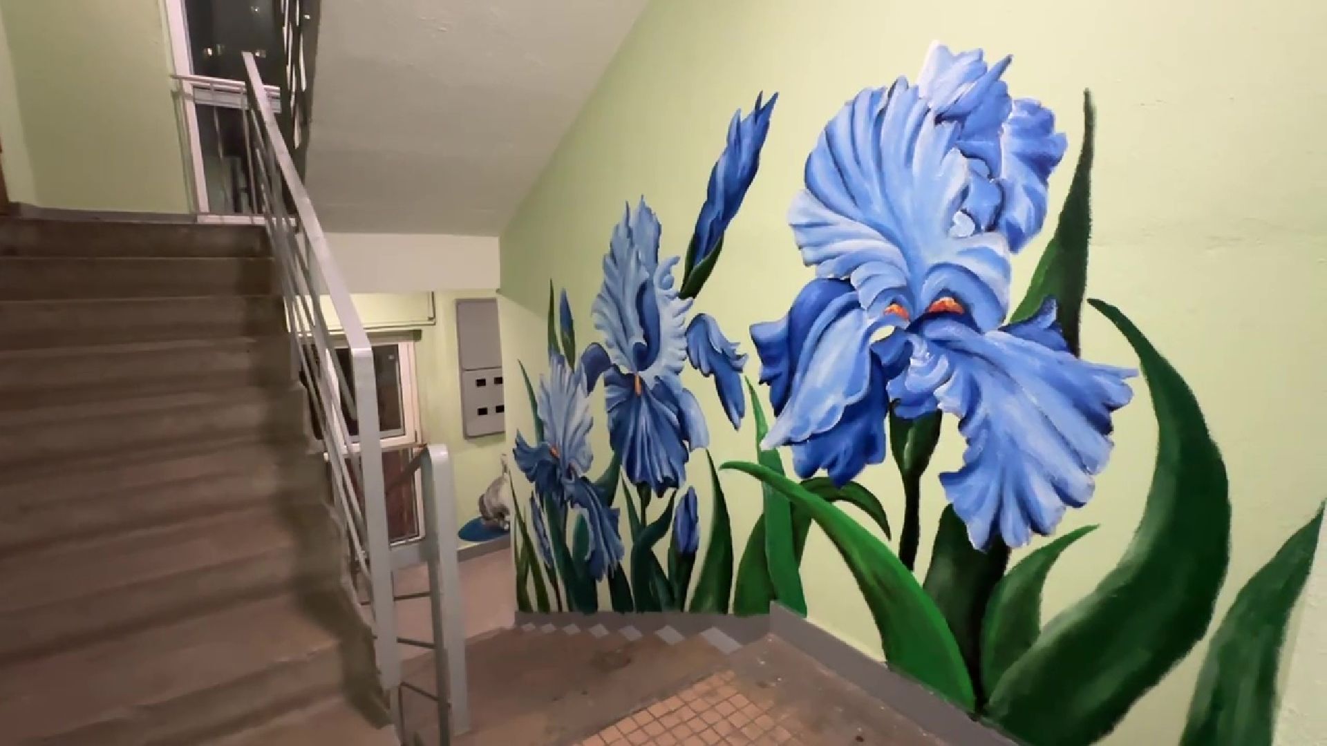 Реутов, подъезд, стены, рисунки, звери, цветы,