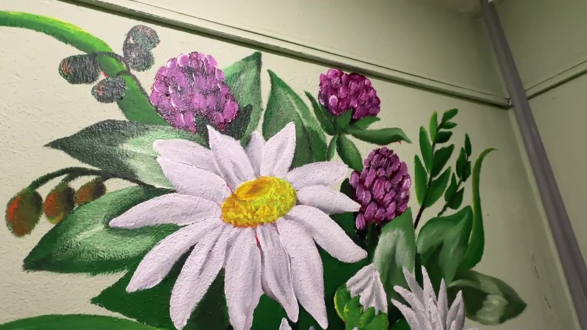 Реутов, подъезд, стены, рисунки, звери, цветы,