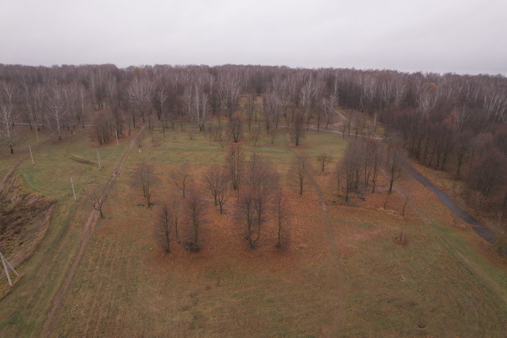 видео с коптера, коломна, парк,