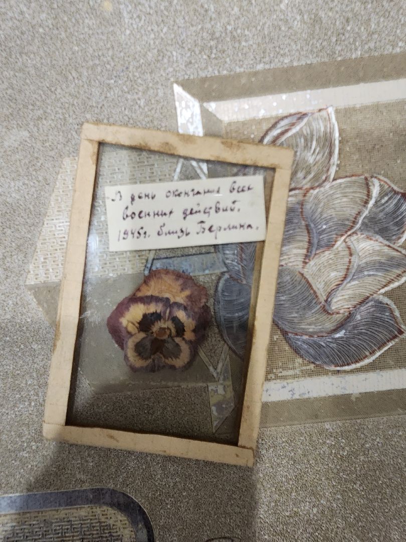 Егорьевск, Саввино, гербарий, история, ВОВ, великая отечественная война,