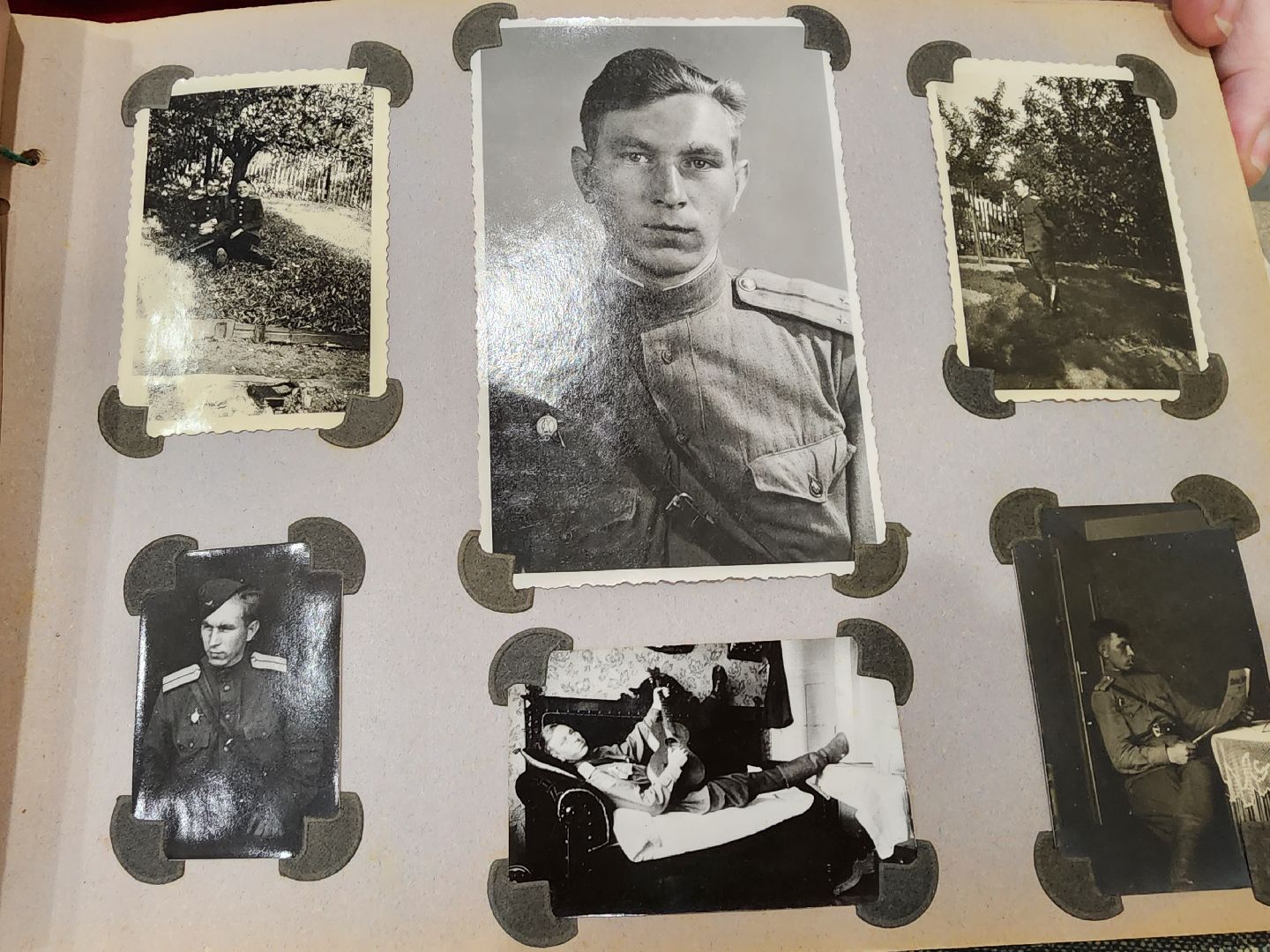 Егорьевск, Саввино, гербарий, история, ВОВ, великая отечественная война,