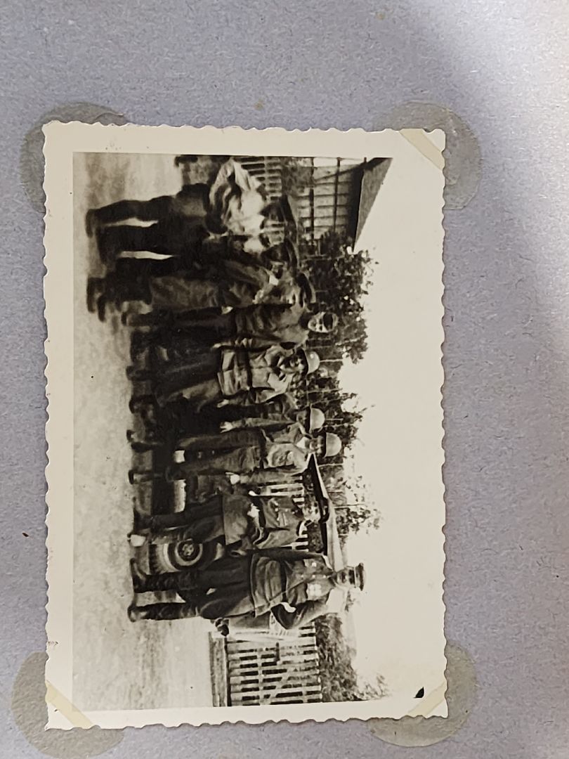 Егорьевск, Саввино, гербарий, история, ВОВ, великая отечественная война,