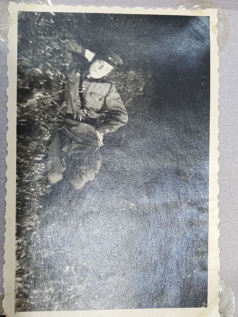 Егорьевск, Саввино, гербарий, история, ВОВ, великая отечественная война,