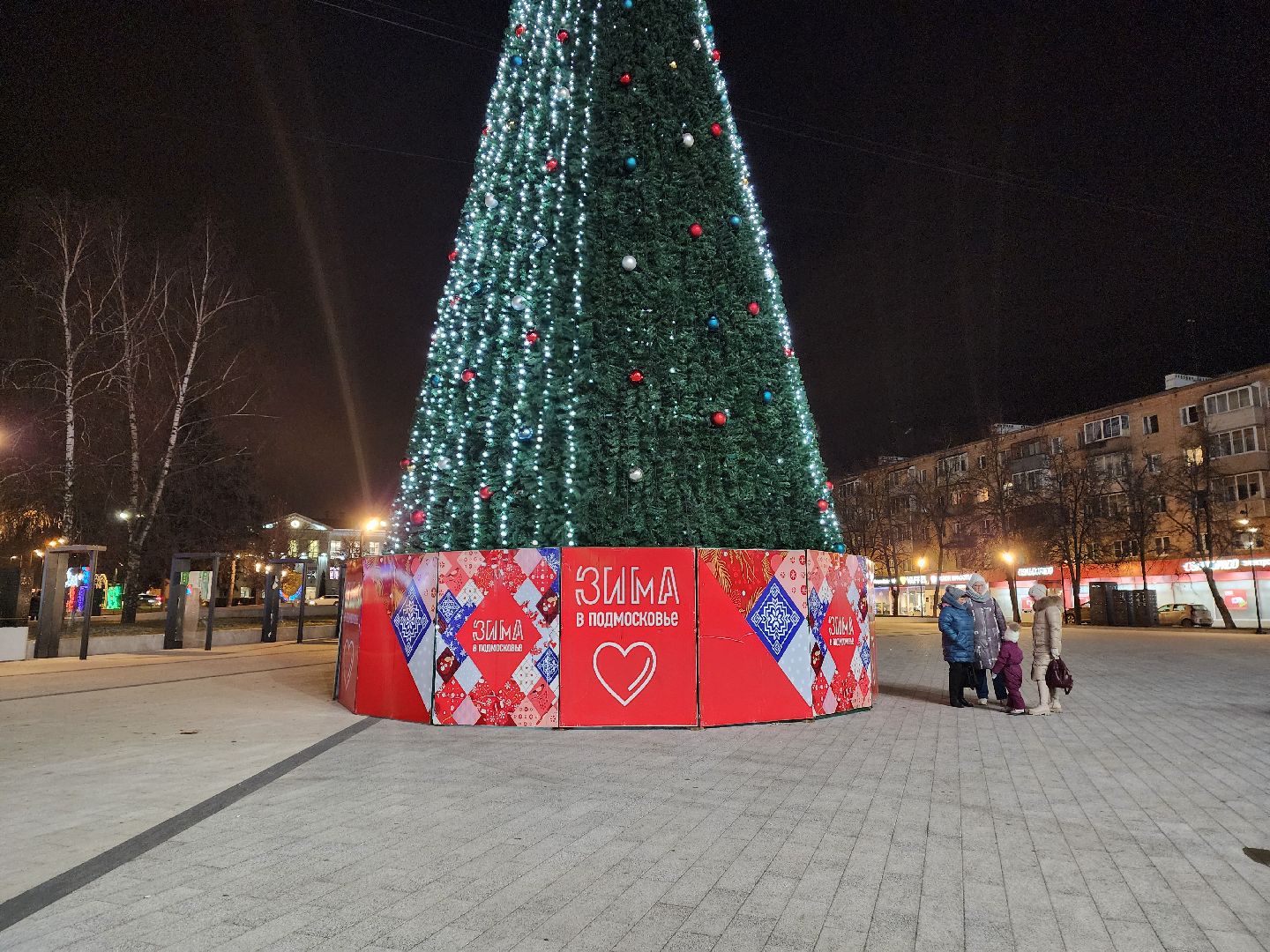 пушкино, ёлка, новый год, праздник,