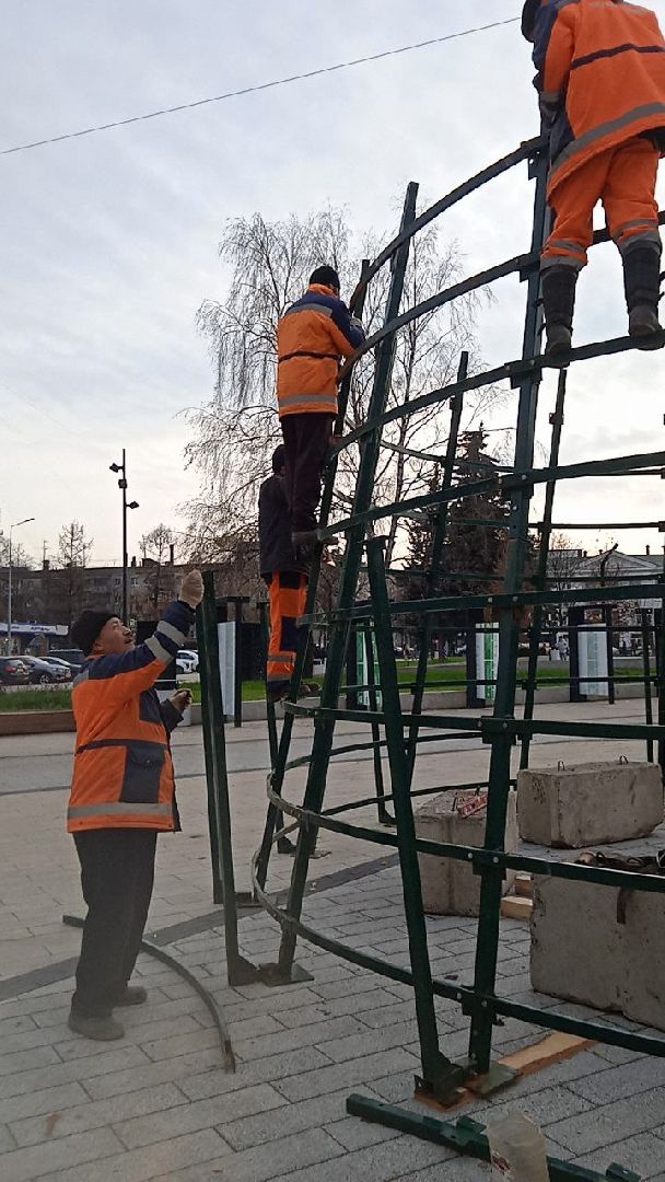 пушкино, ёлка, новый год, праздник,