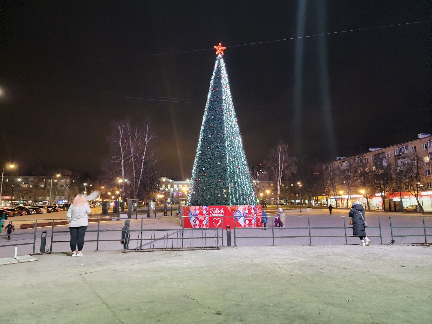 пушкино, ёлка, новый год, праздник,