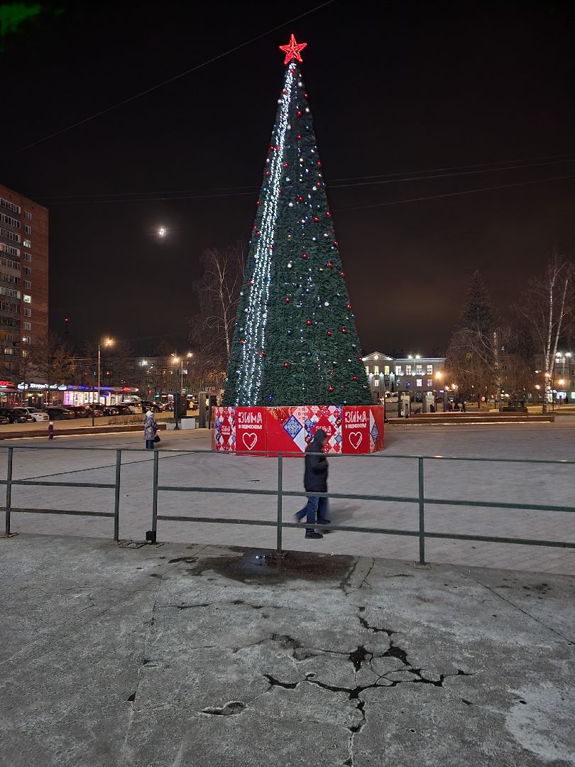 пушкино, ёлка, новый год, праздник,