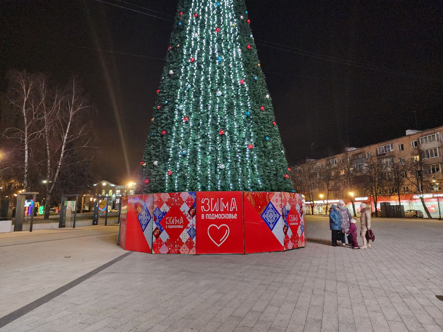 пушкино, ёлка, новый год, праздник,