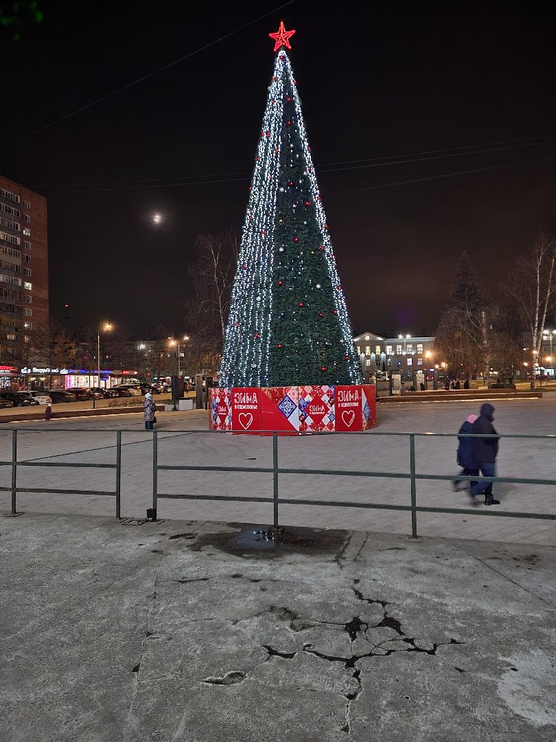 пушкино, ёлка, новый год, праздник,