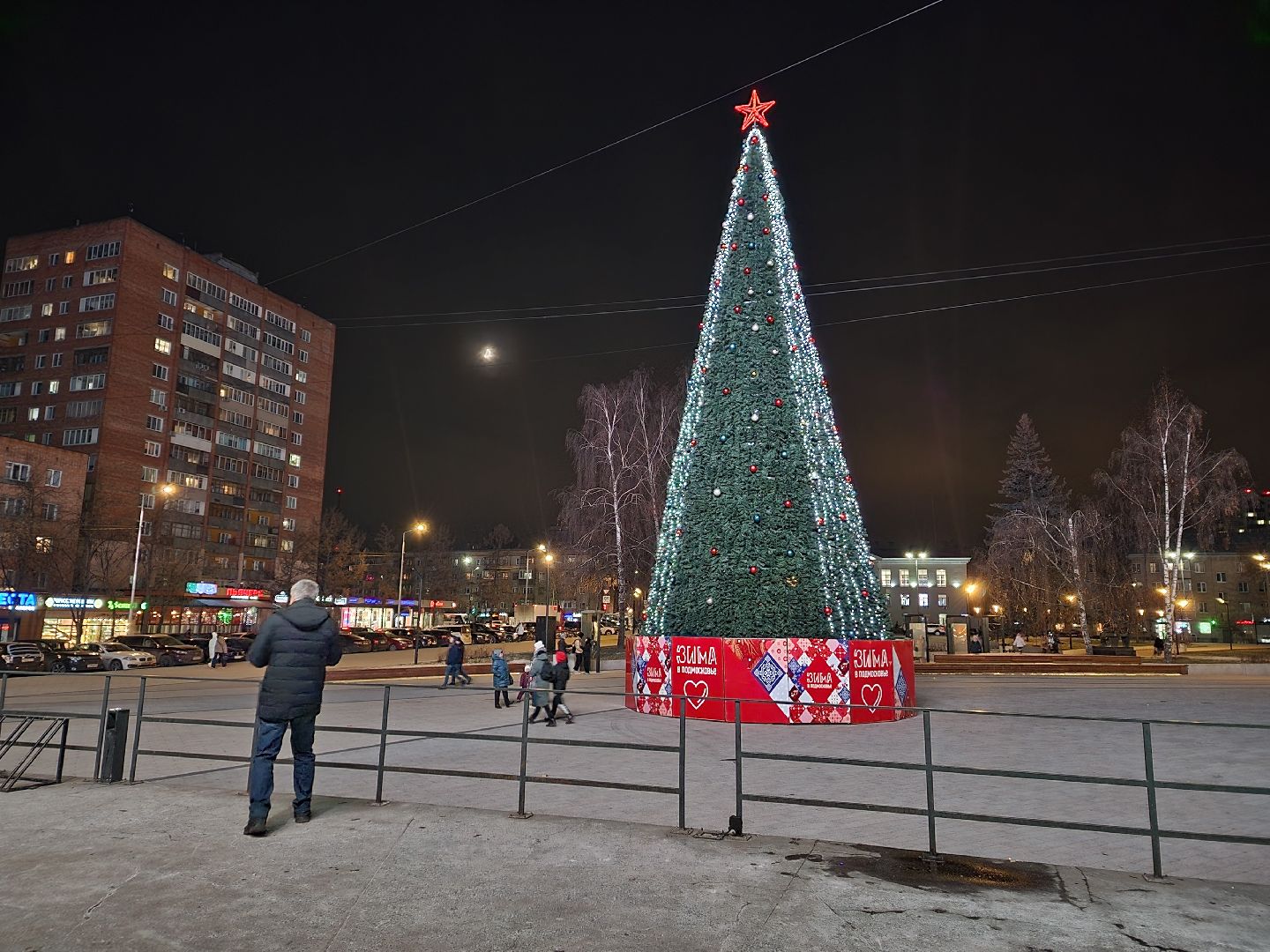 пушкино, ёлка, новый год, праздник,