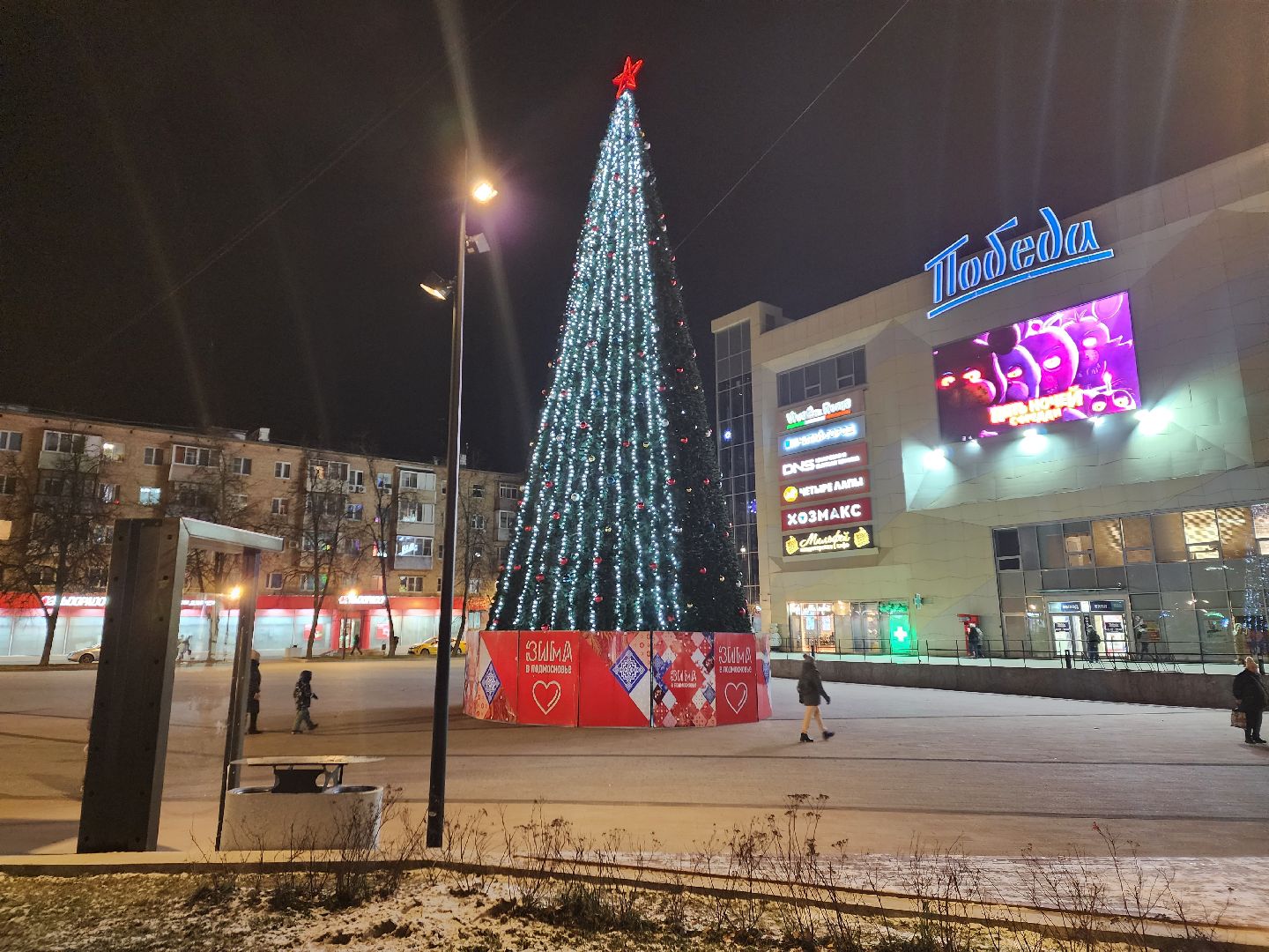 пушкино, ёлка, новый год, праздник,