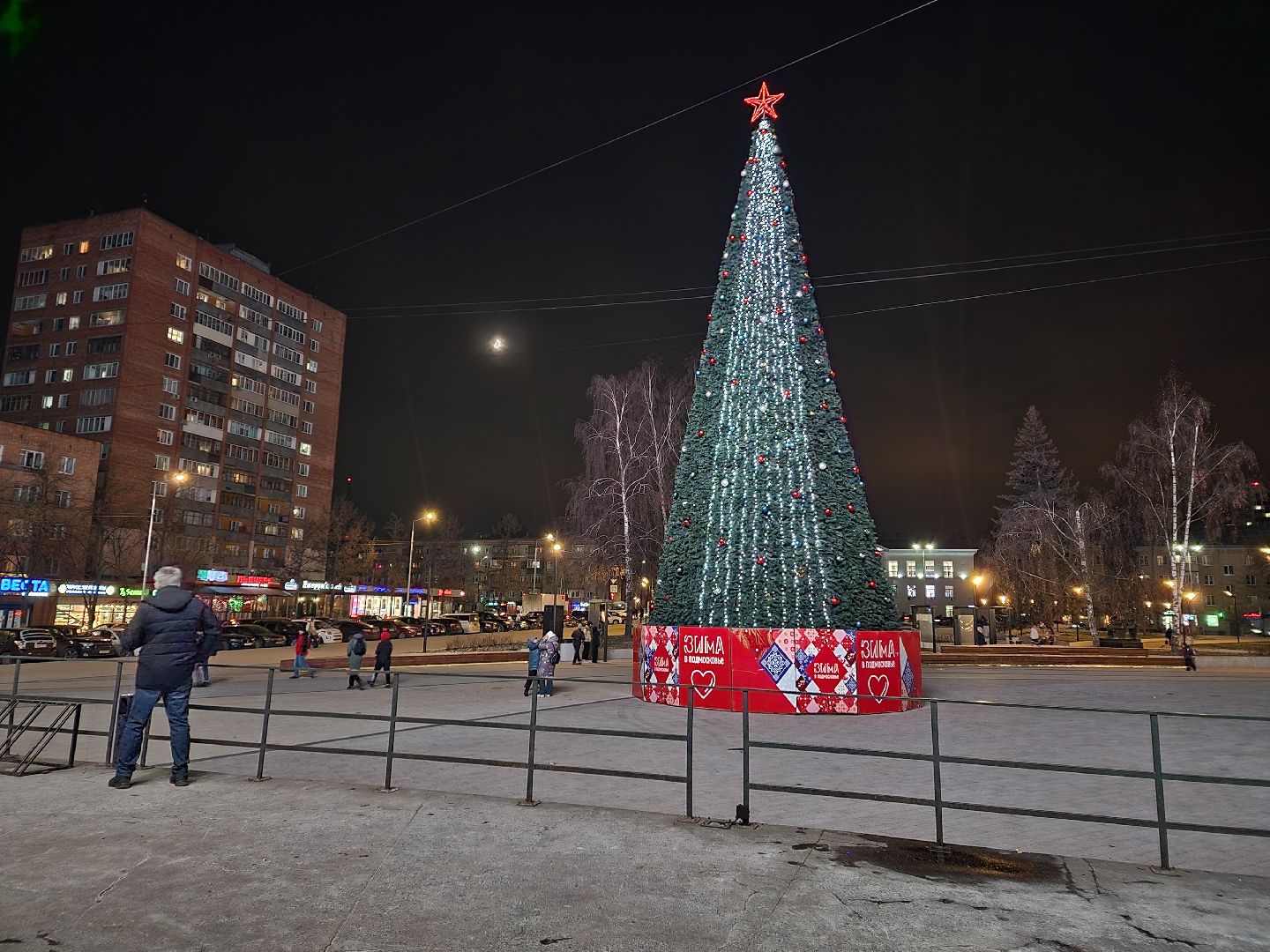 пушкино, ёлка, новый год, праздник,