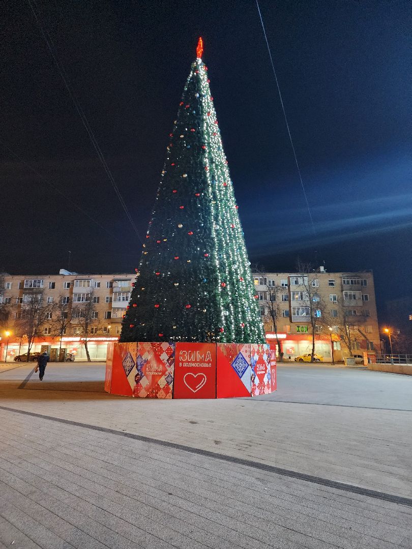 пушкино, ёлка, новый год, праздник,