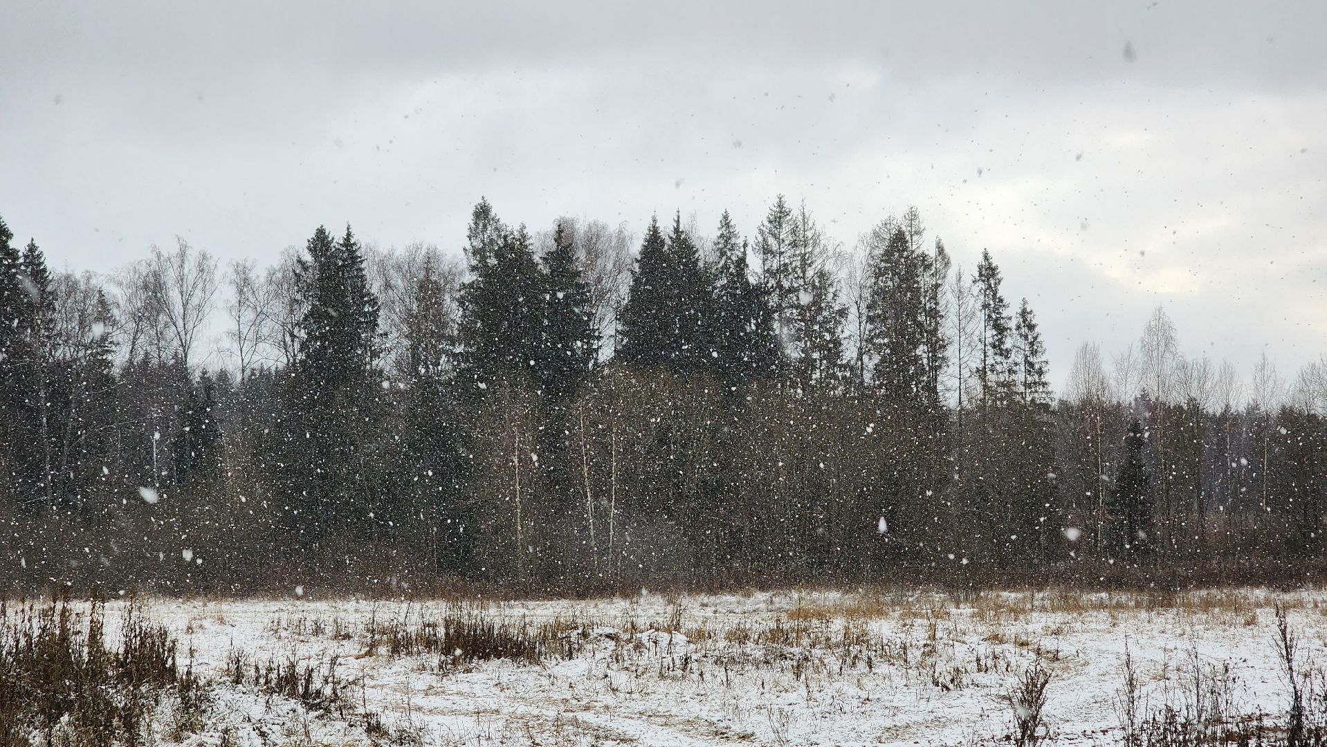 Солнечногорск, Зима, Погода, Метеоролог, Прогноз,