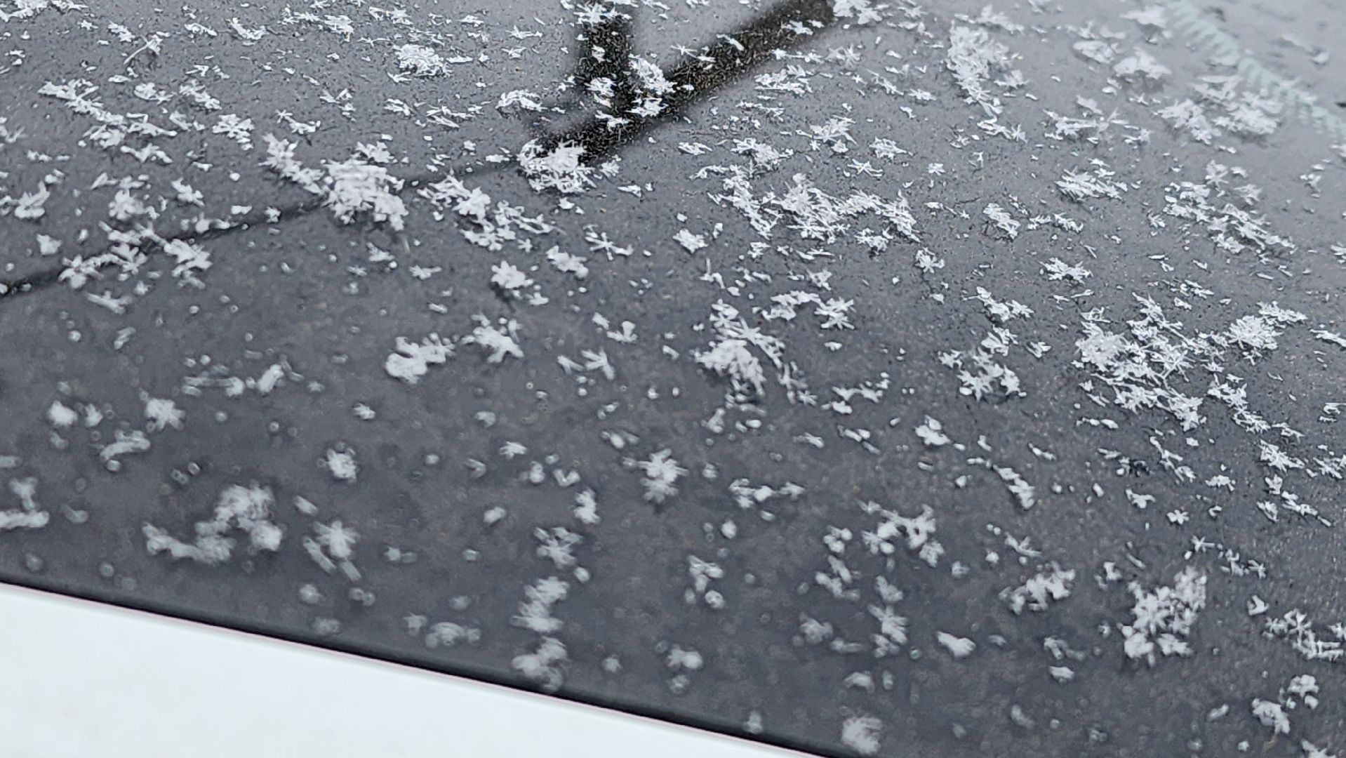 Солнечногорск, Зима, Погода, Метеоролог, Прогноз,