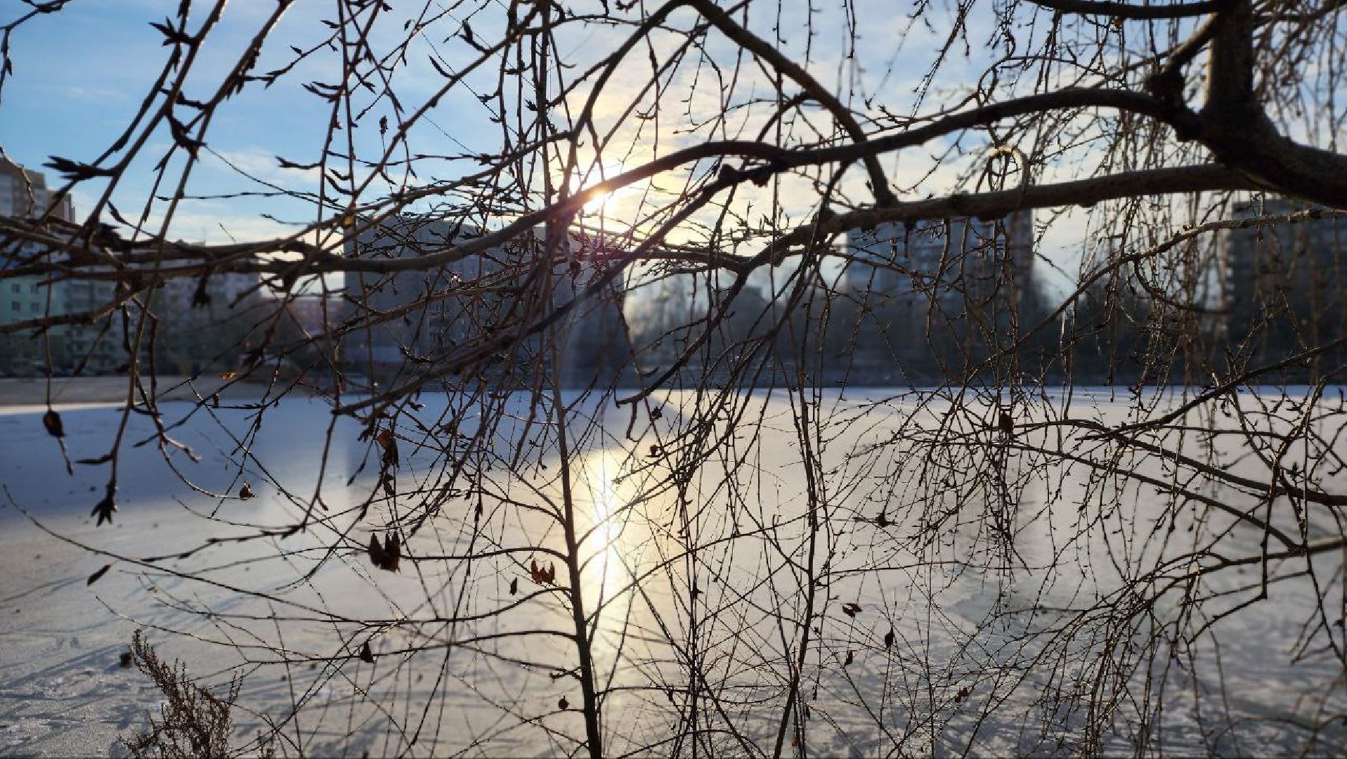 Дмитров, Инженерный пруд, Минблаго,