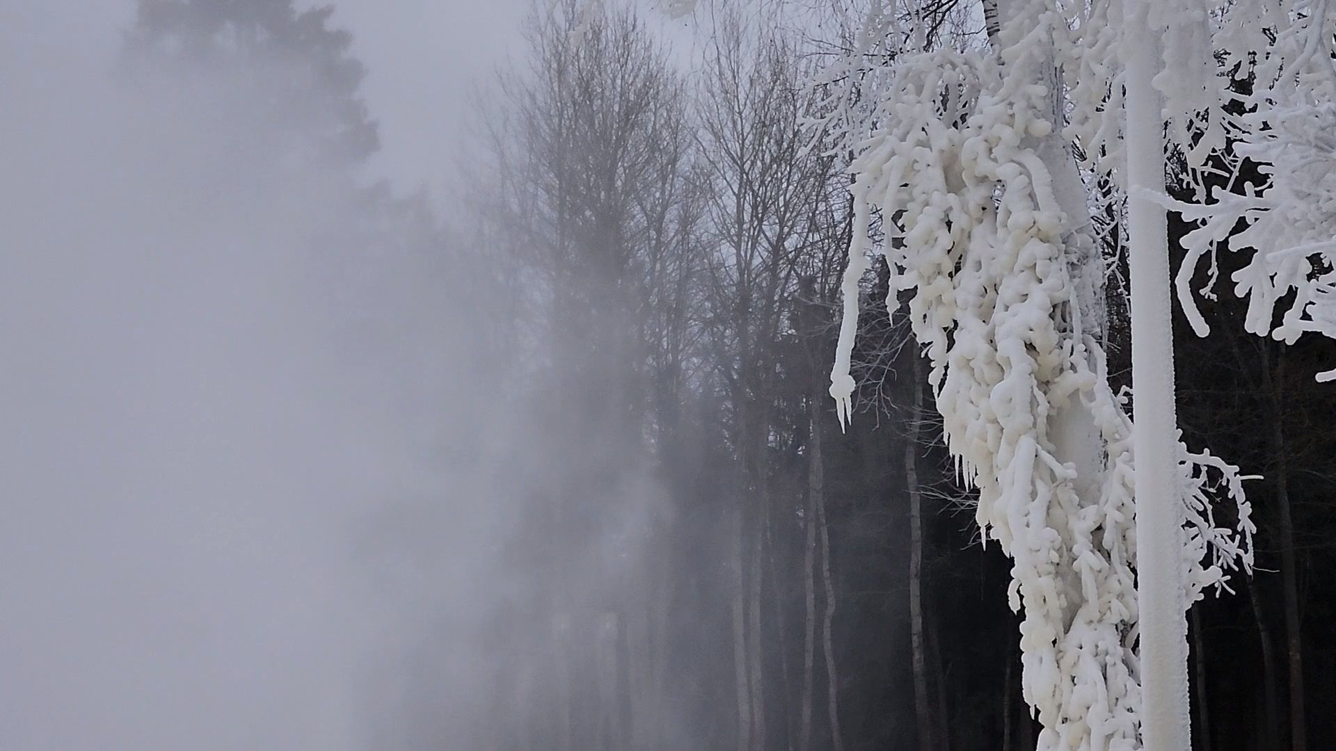 Одинцово, парк, парк имени Лазутиной, зима, трасса, оснежение, спорт,