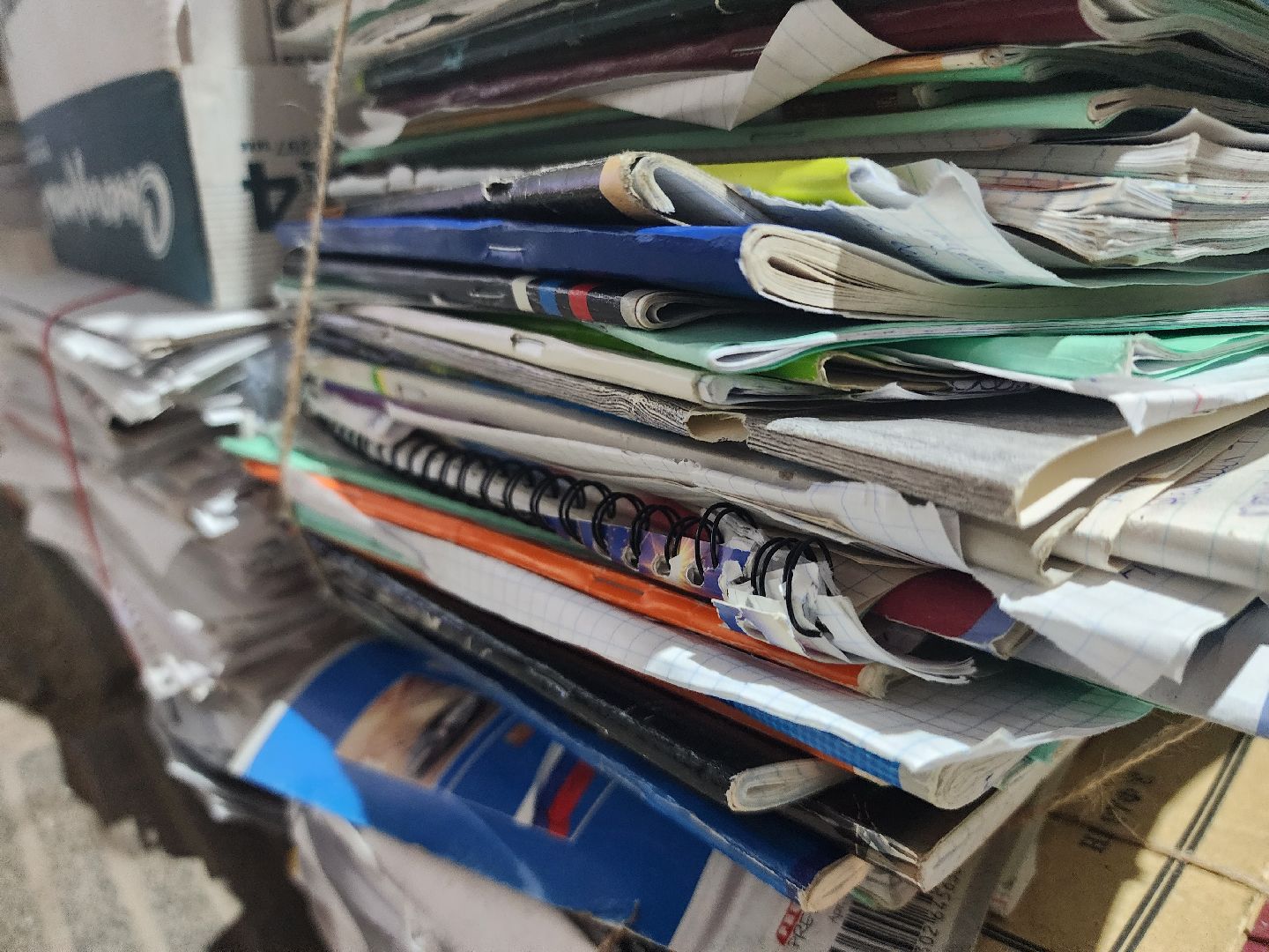 экология, сбор макулатуры, БумБатл, Ногинск, Богородский городской округ,