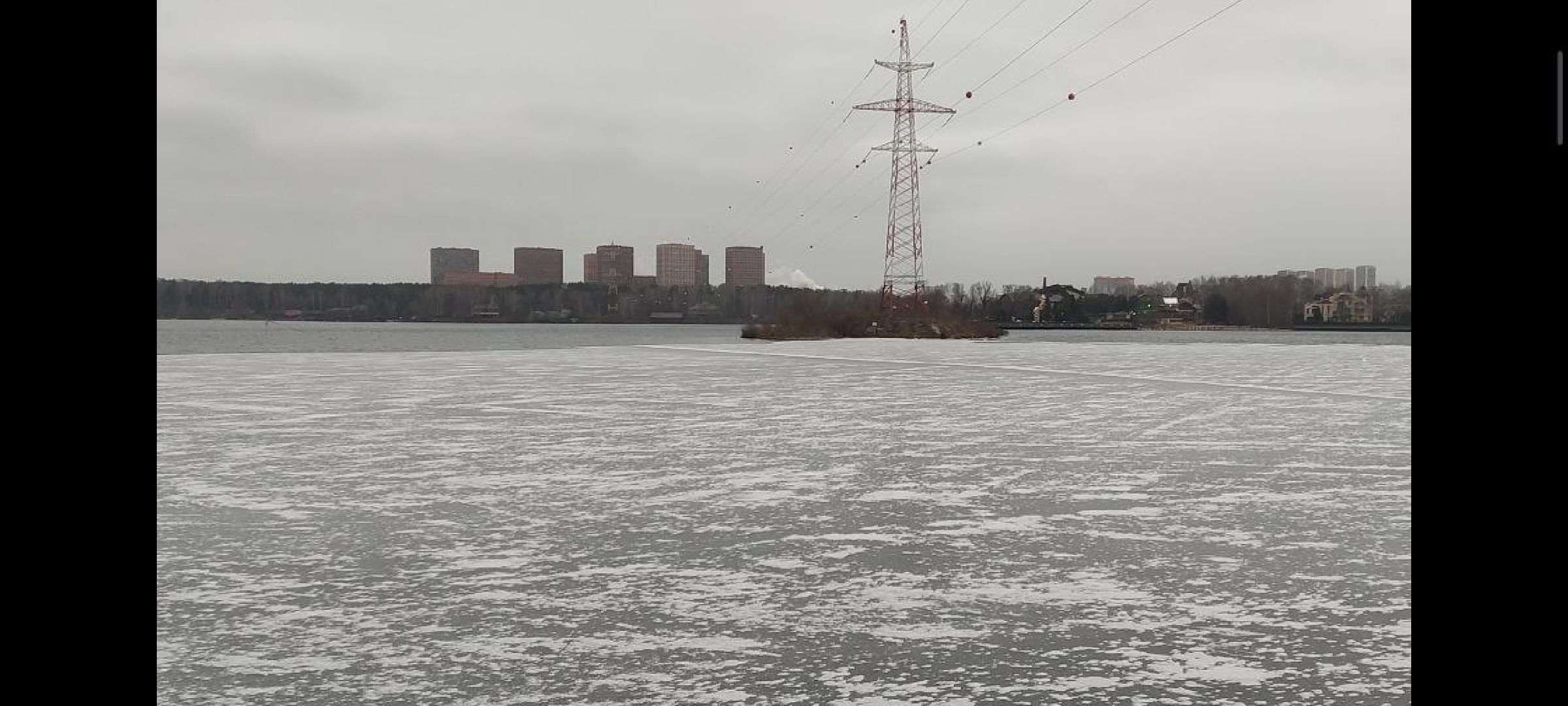 мчс, красногорск, собака, спасатели,