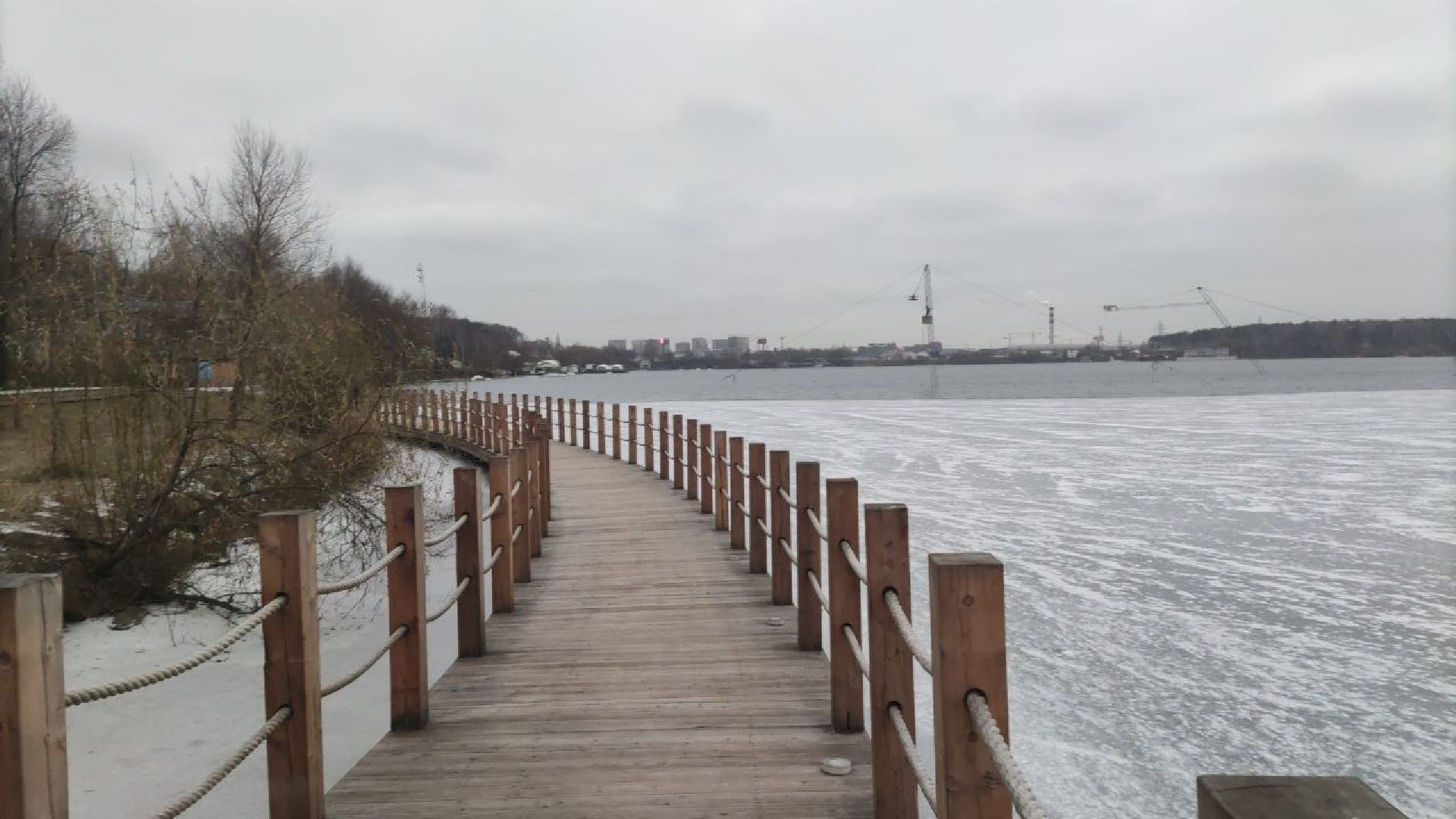 мчс, красногорск, собака, спасатели,