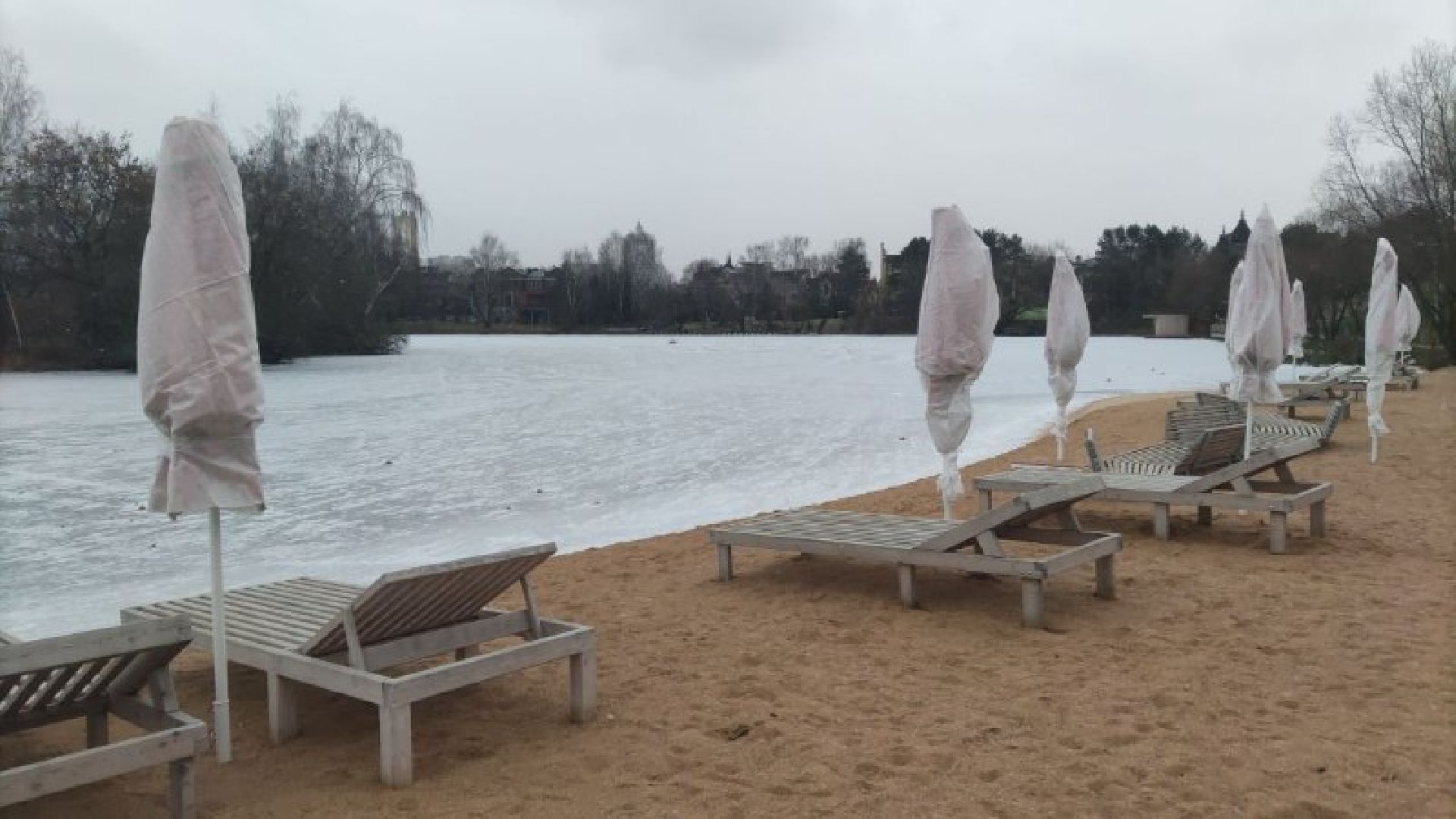 мчс, красногорск, собака, спасатели,