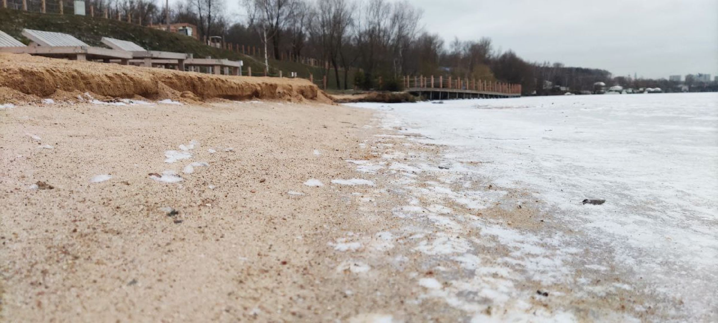 мчс, красногорск, собака, спасатели,