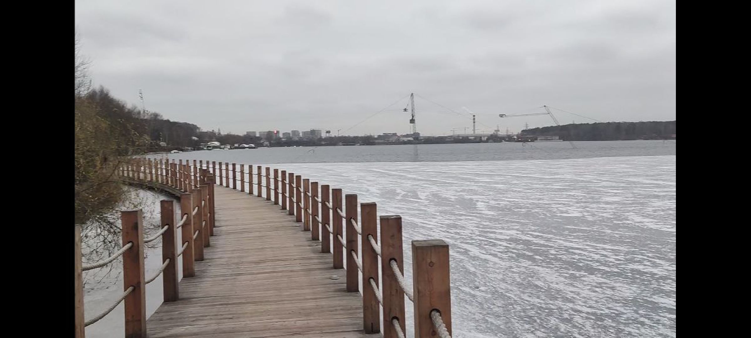 мчс, красногорск, собака, спасатели,