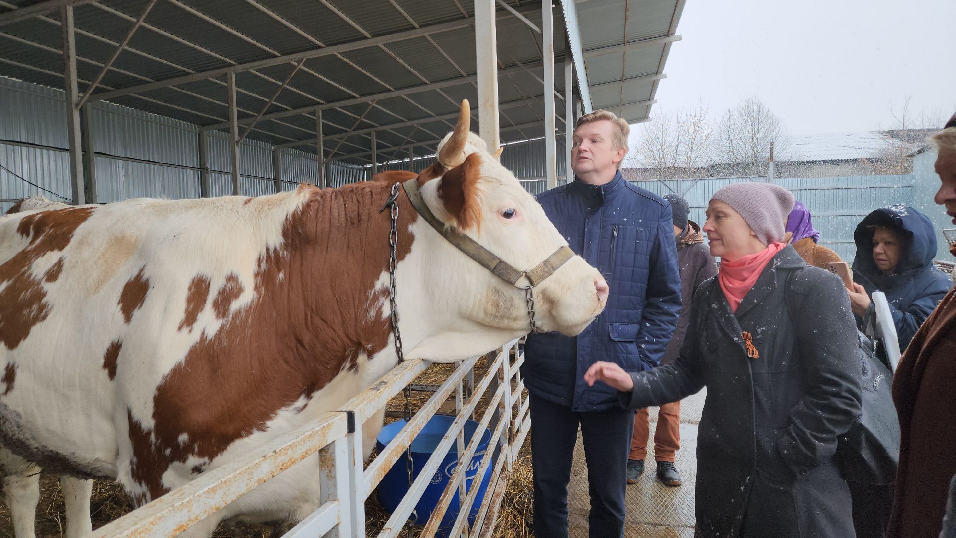 Подольск, наука, ВИЖ им Эрнста, породы, генетика,