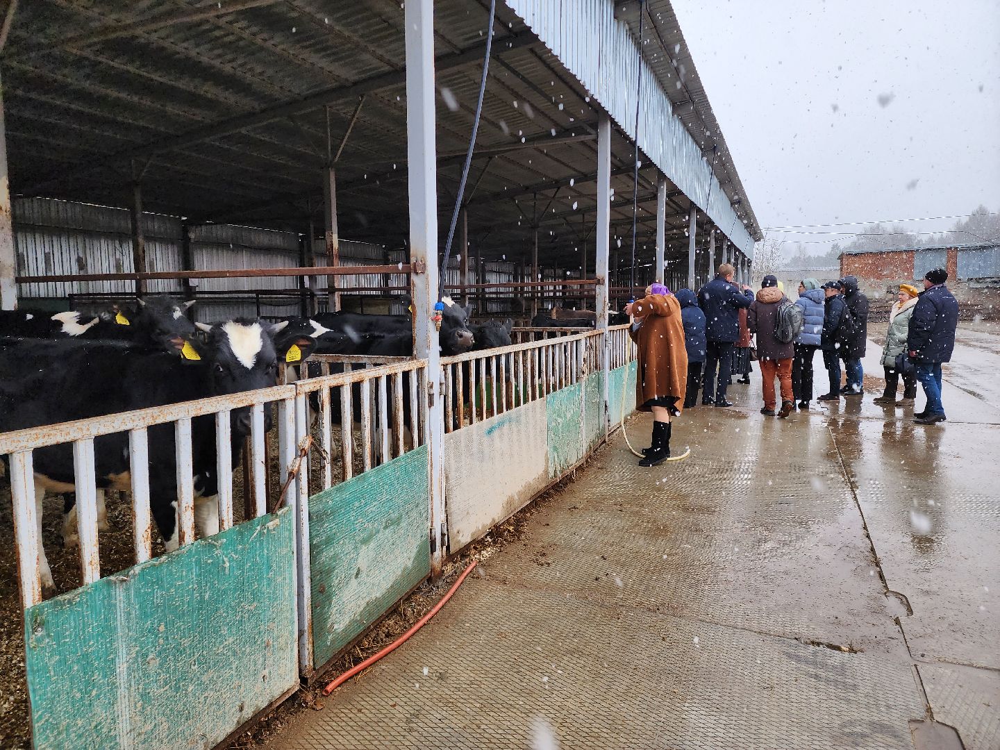 Подольск, наука, ВИЖ им Эрнста, породы, генетика,