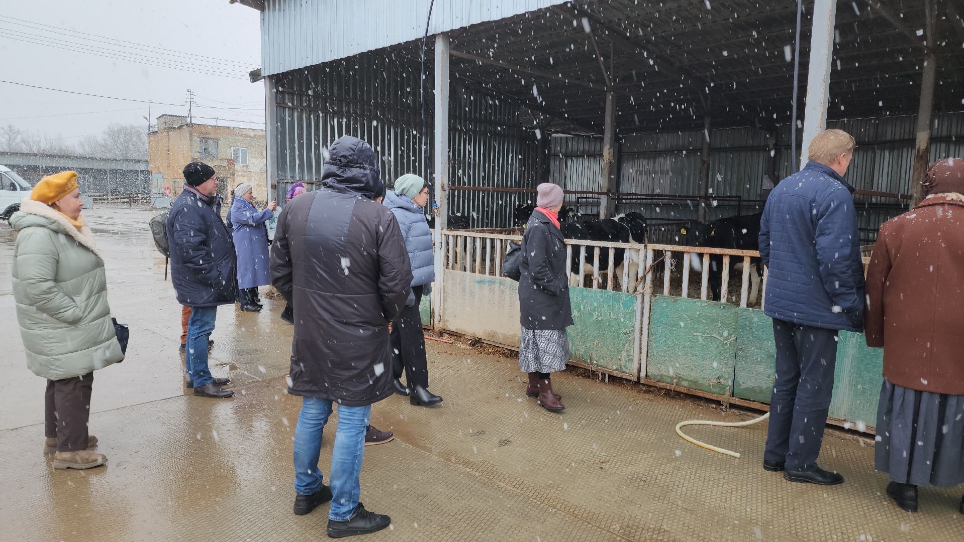 Подольск, наука, ВИЖ им Эрнста, породы, генетика,