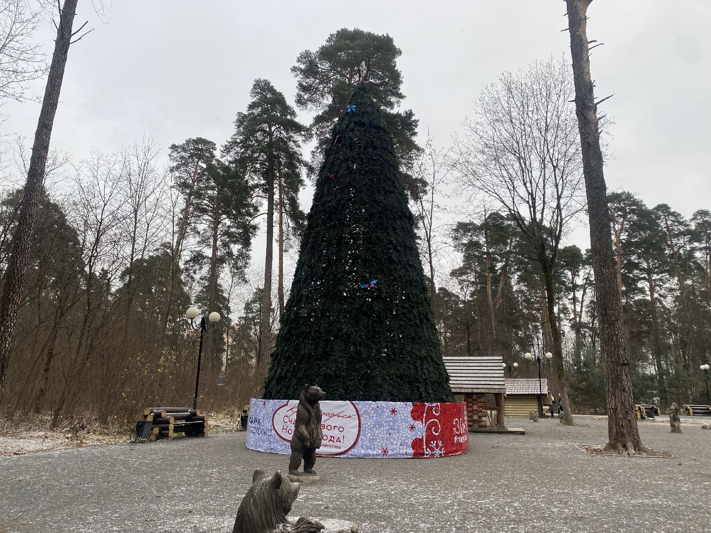 красногорск, ёлка, праздники, новый год,