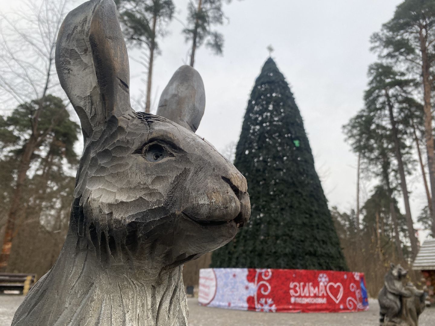 красногорск, ёлка, праздники, новый год,