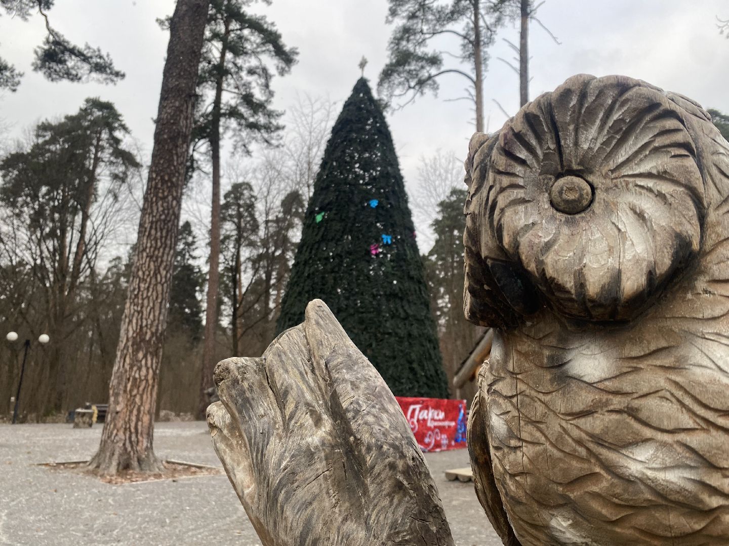 красногорск, ёлка, праздники, новый год,