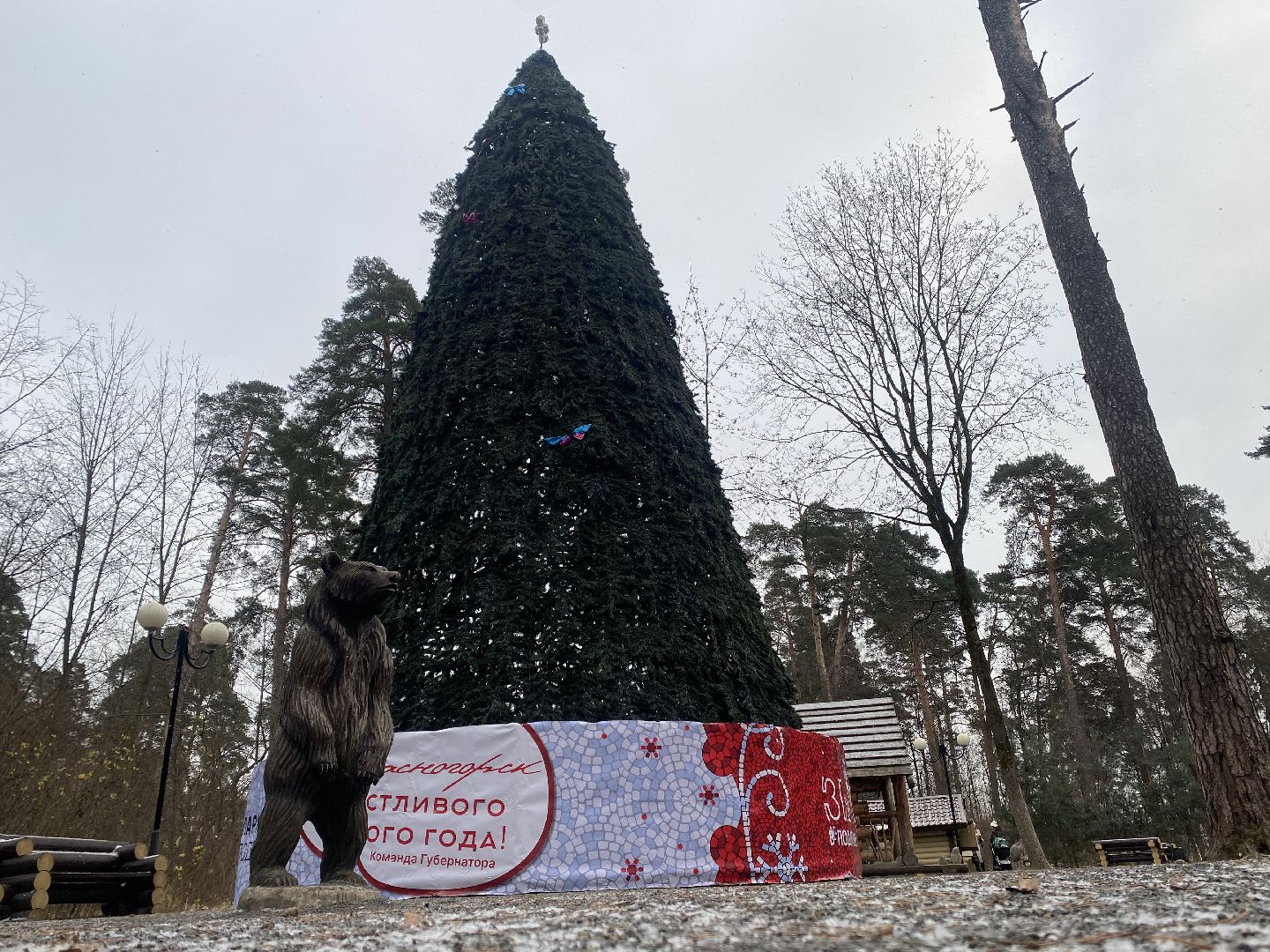 красногорск, ёлка, праздники, новый год,