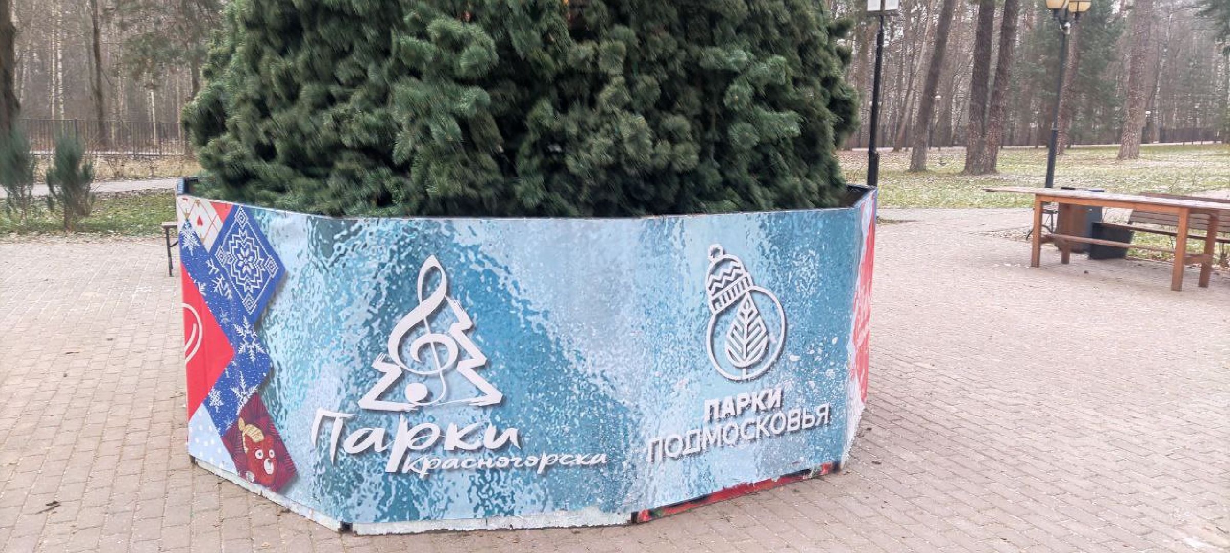 красногорск, ёлка, праздники, новый год,