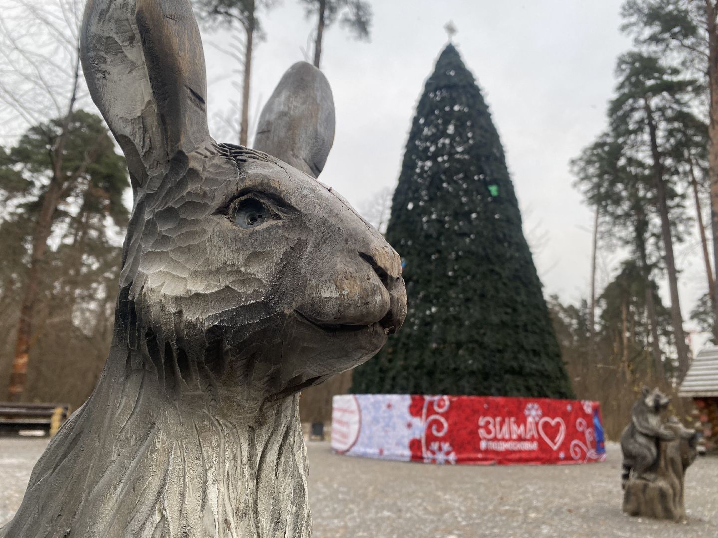 красногорск, ёлка, праздники, новый год,