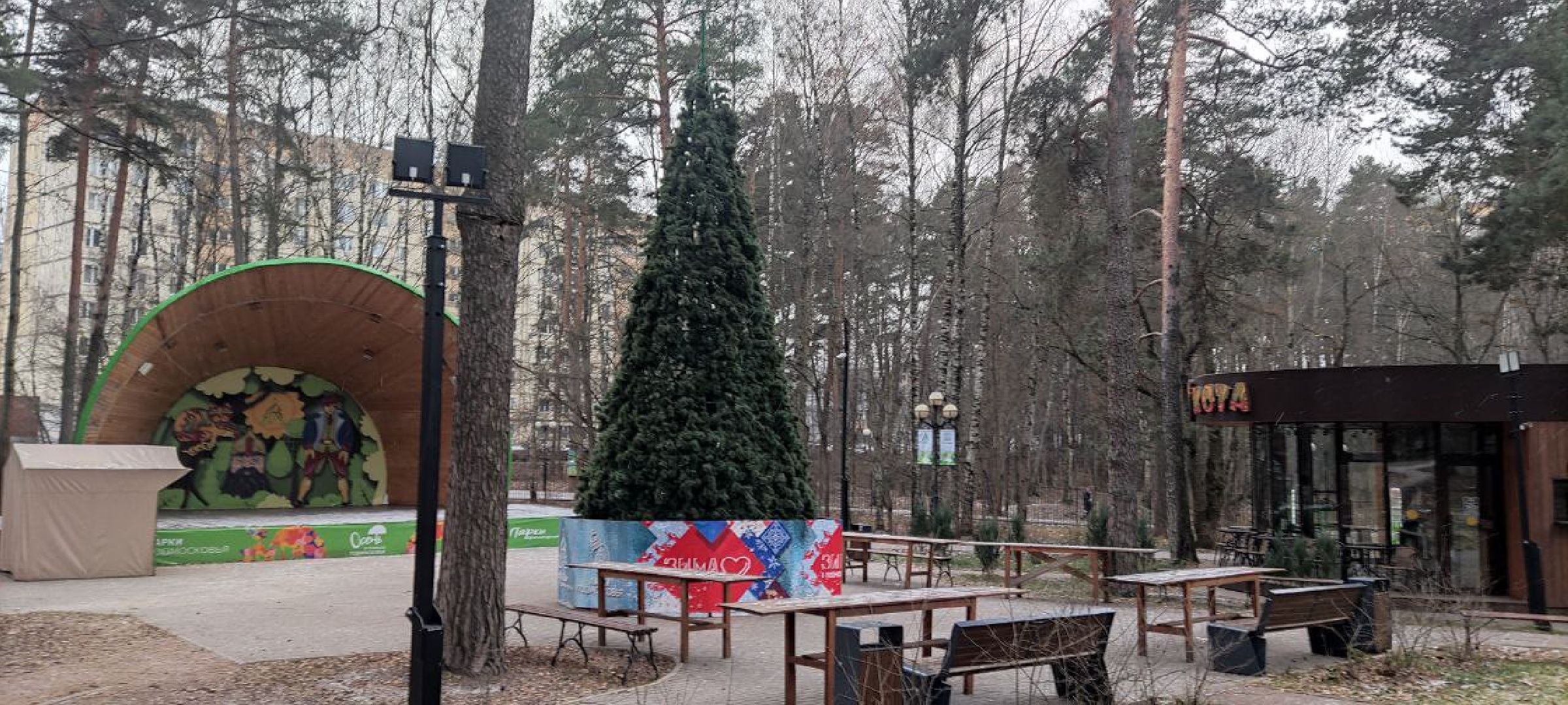 красногорск, ёлка, праздники, новый год,