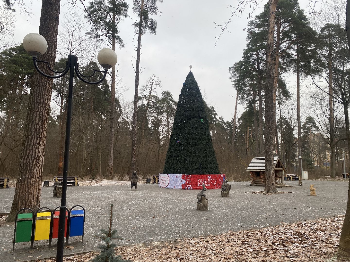 красногорск, ёлка, праздники, новый год,