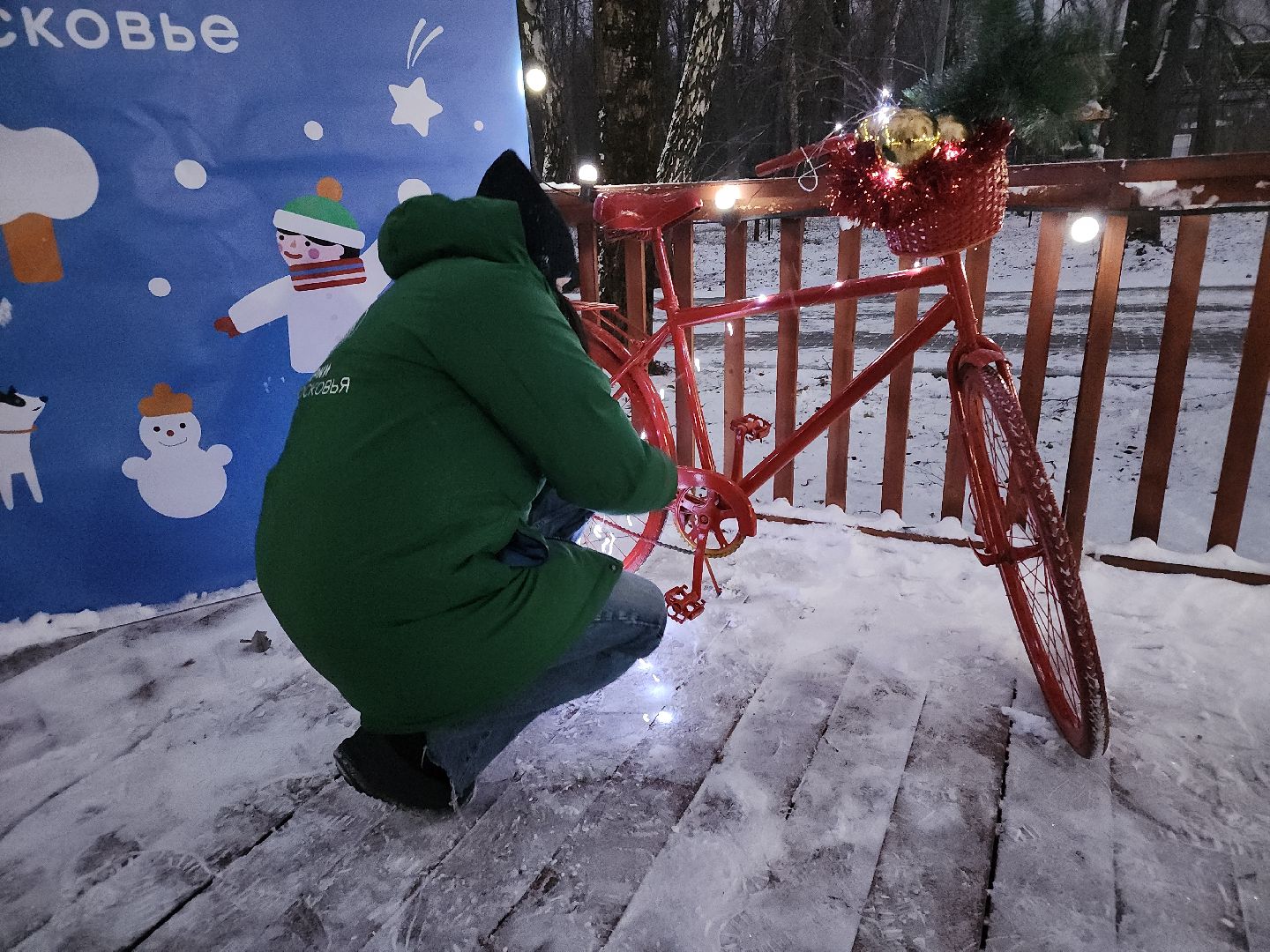 кашира, городской парк, ожерелье, дубовая роща, зимней сезон, подготовка, благоустройство, гирлянды, новый год, дед мороз,