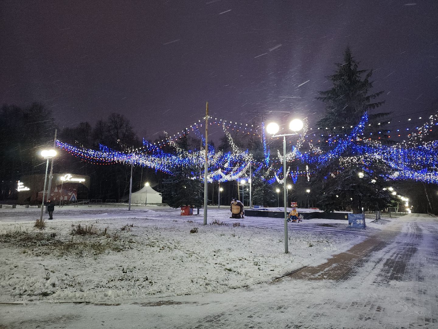 кашира, городской парк, ожерелье, дубовая роща, зимней сезон, подготовка, благоустройство, гирлянды, новый год, дед мороз,