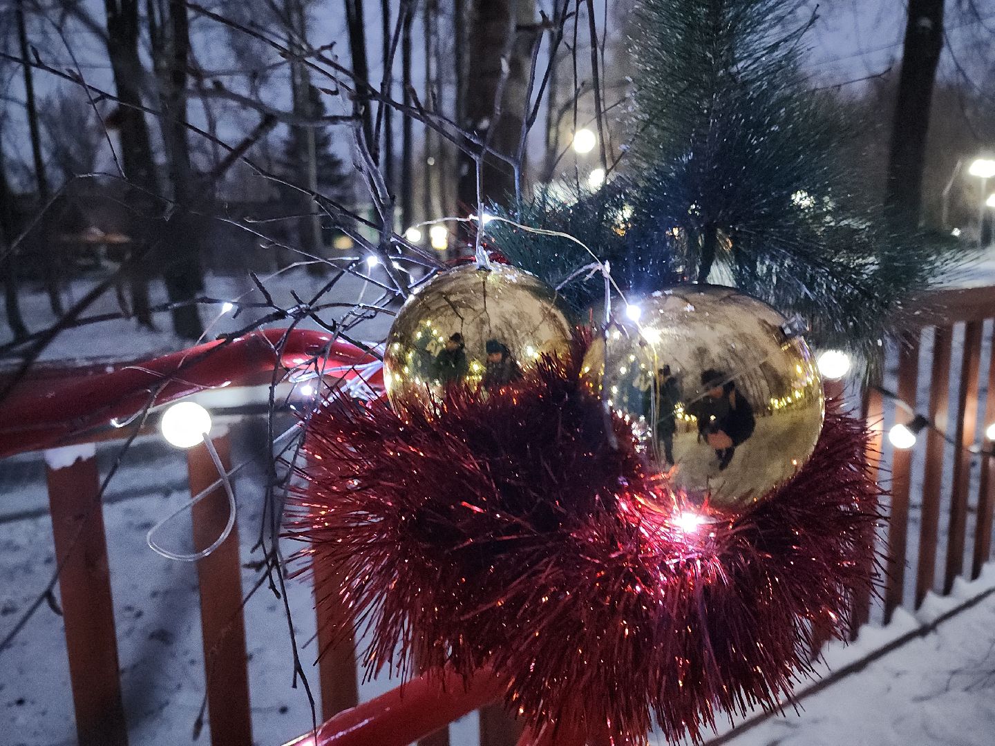 кашира, городской парк, ожерелье, дубовая роща, зимней сезон, подготовка, благоустройство, гирлянды, новый год, дед мороз,