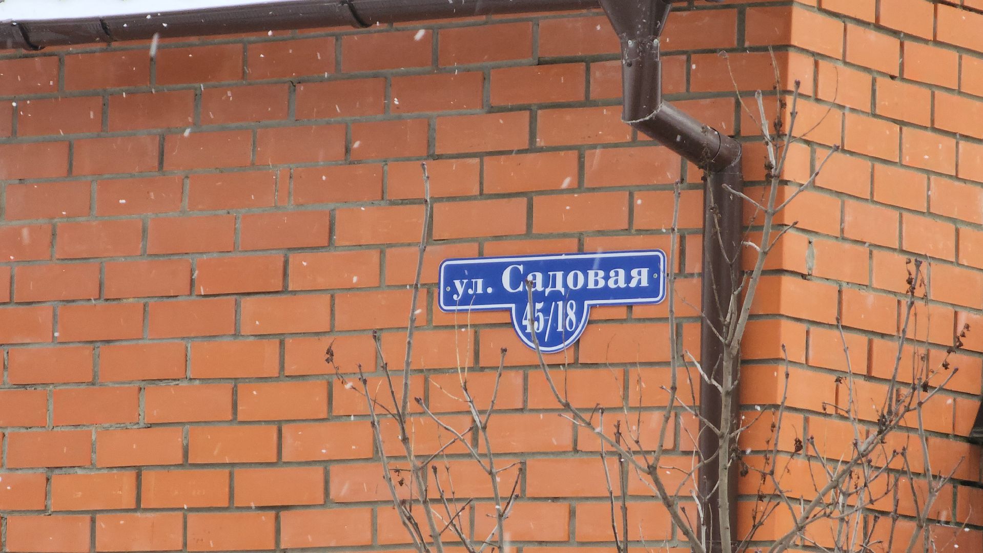 воскресенск, общество, книга, писатели, творчество,