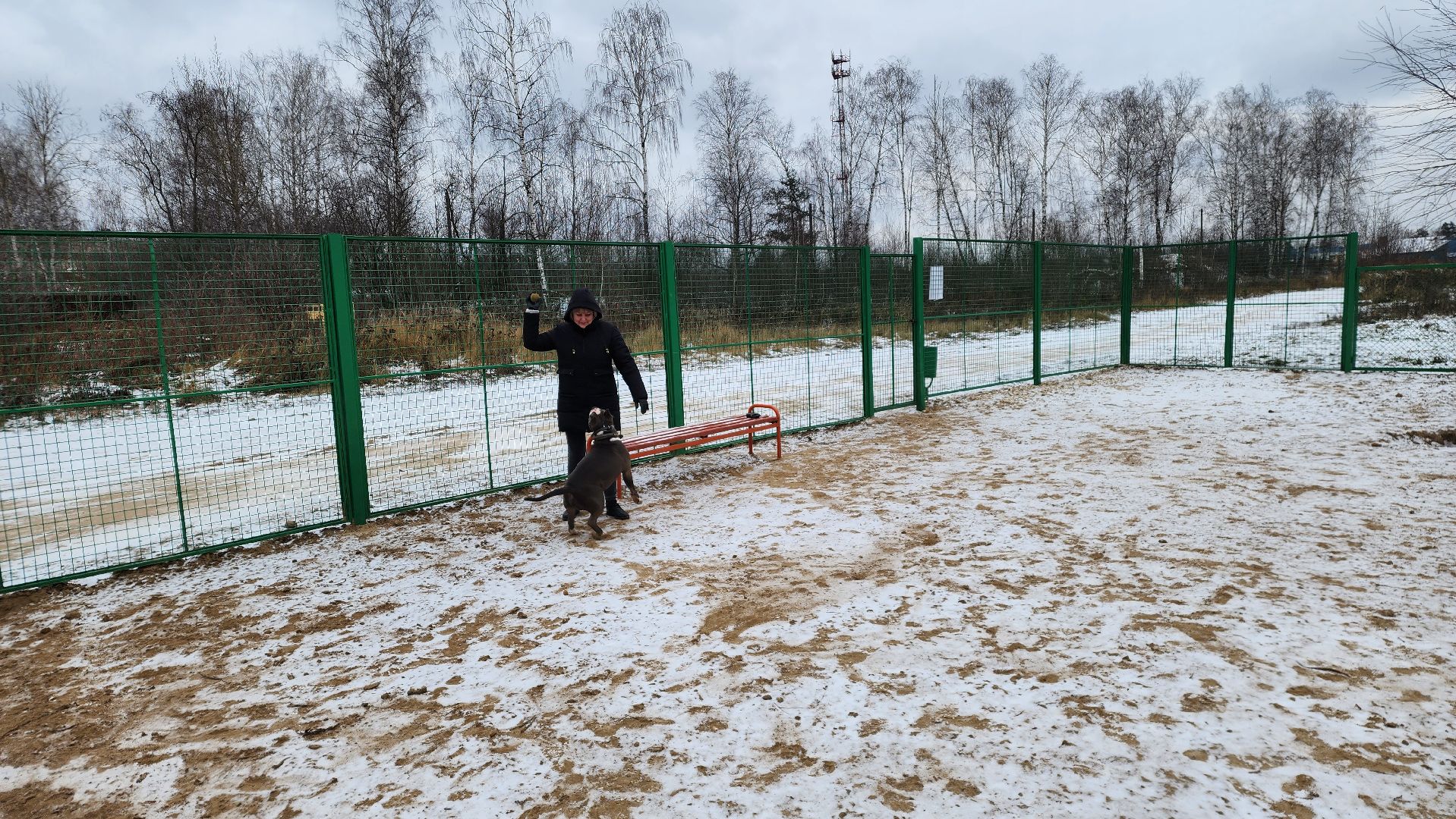 собаководы, площадка для выгула собак, Лосино-Петровский,