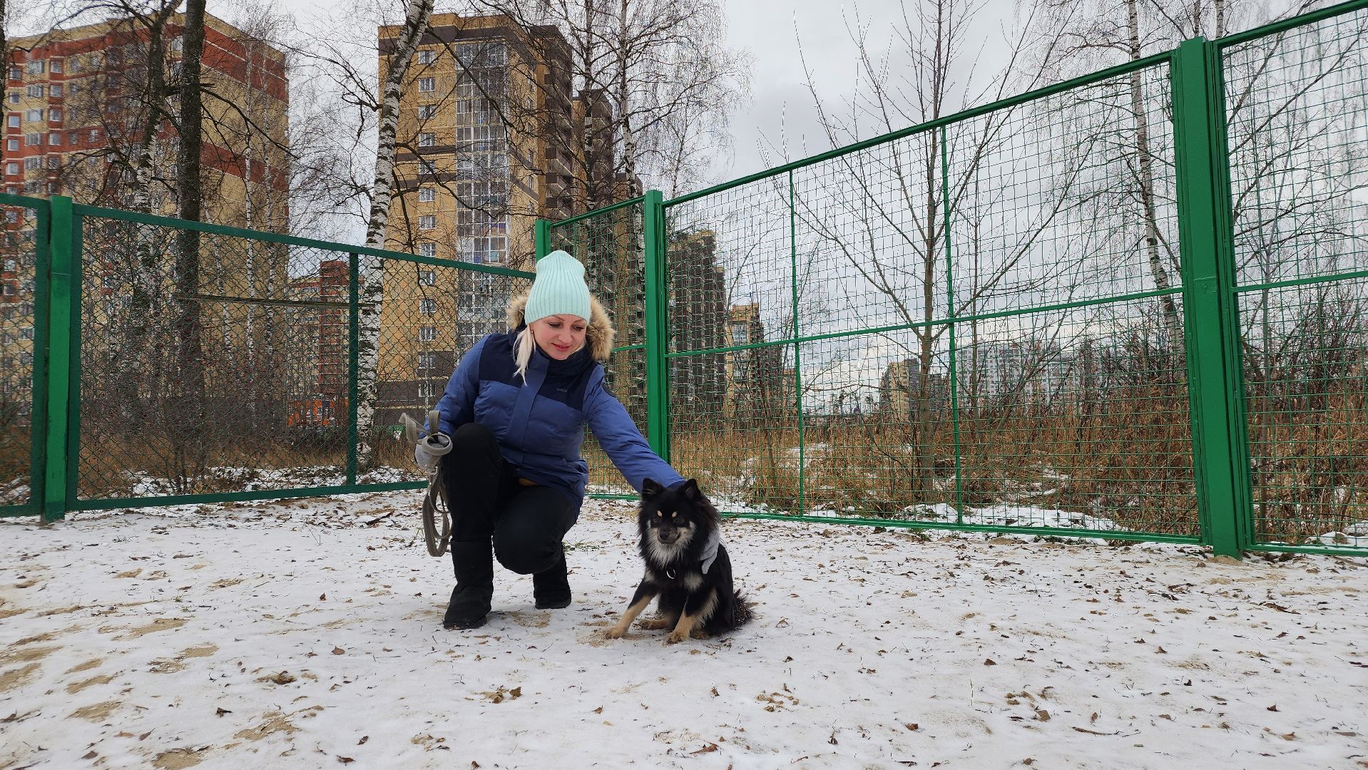 собаководы, площадка для выгула собак, Лосино-Петровский,
