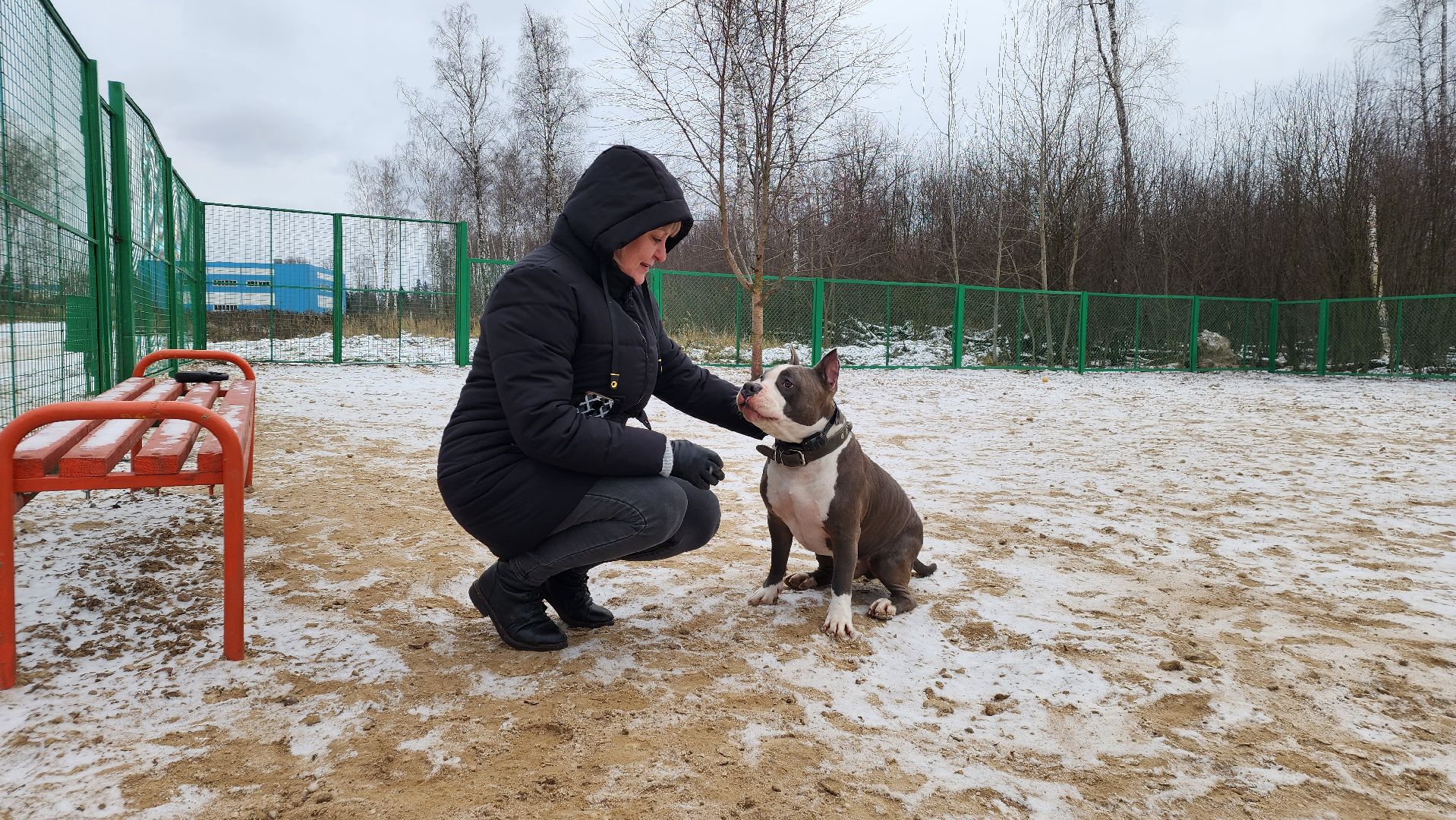 собаководы, площадка для выгула собак, Лосино-Петровский,