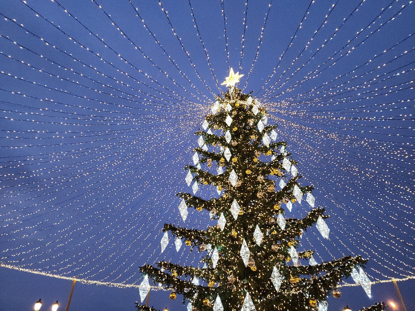 коломна, культура, новый год,