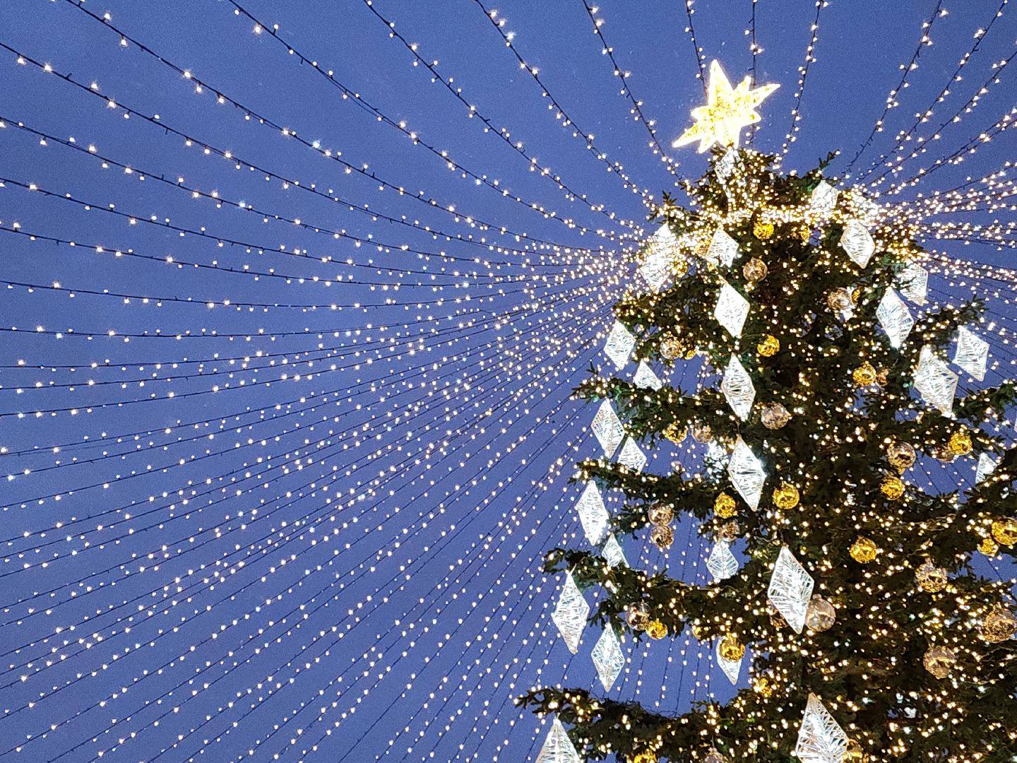 коломна, культура, новый год,