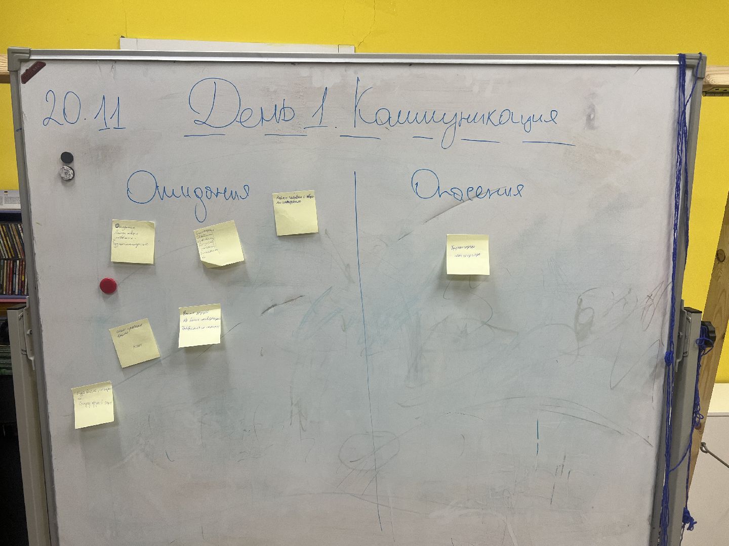 солнечногорск, интенсив, Мой старт, Подсолнух, Каникулы,