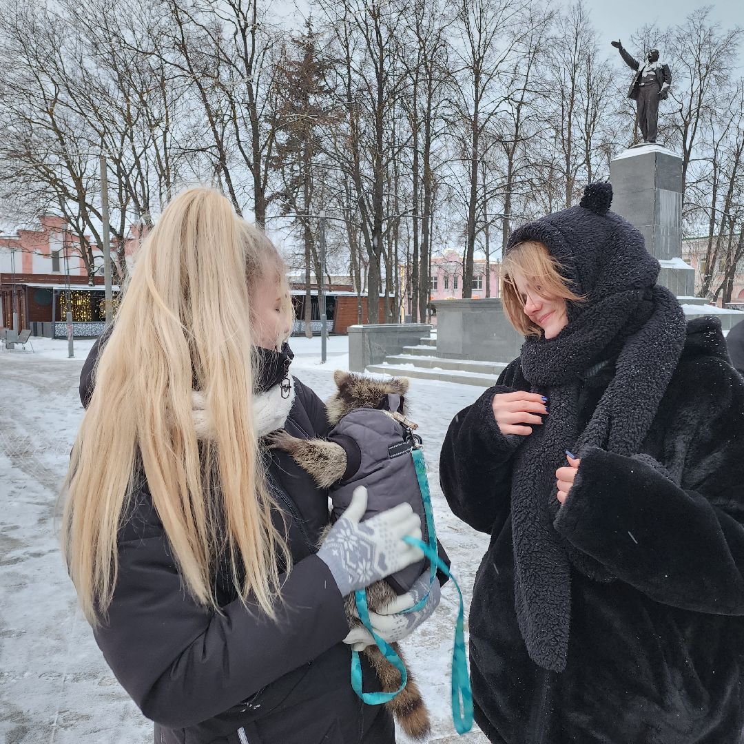 Егорьевск, Енот, Подмосковье, Московская область,