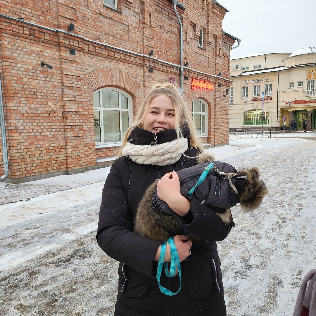 Егорьевск, Енот, Подмосковье, Московская область,